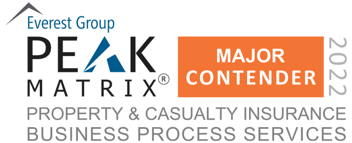everest group property & casualty insurance bps peak matrix assessment