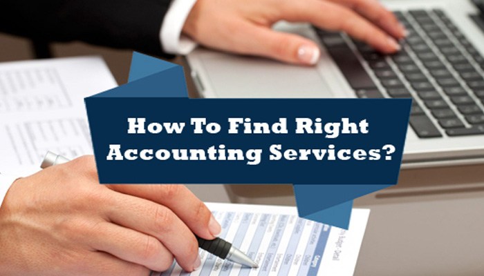 Accounting Services for Your Small Business