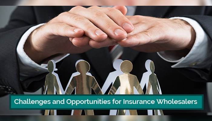 Insurance Wholesalers Outsourcing Services