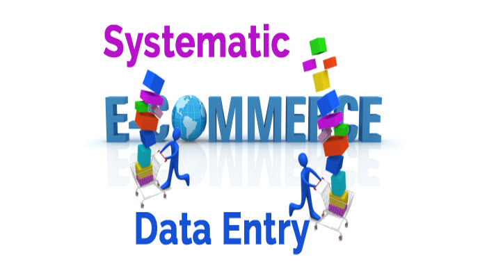 e-commerce-data-entry