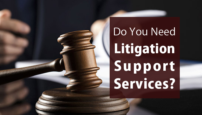 Litigation Support Professional