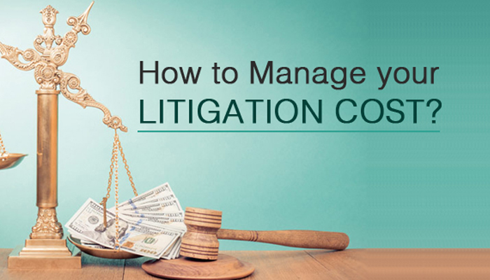 Litigation process outsourcing