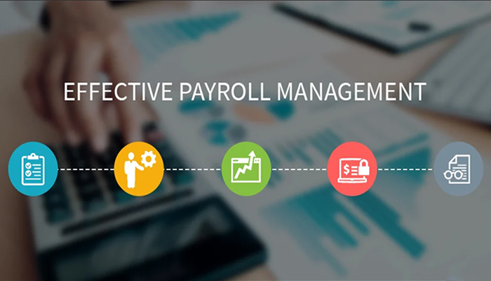 Tips for the successful payroll management services