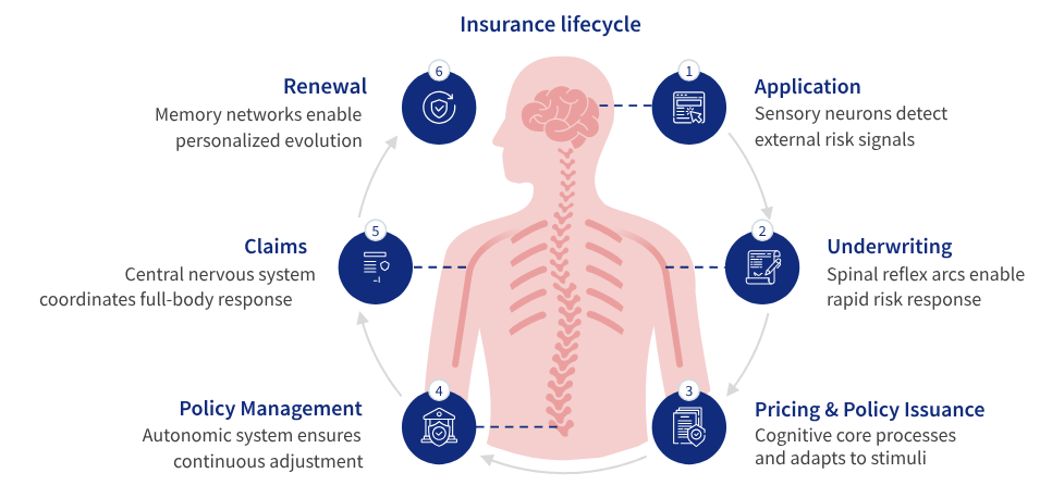 Insurance-lifecycle