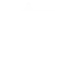 Litigation support