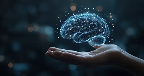 Neural Networks Solutions