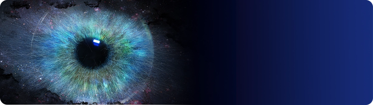Our Vision